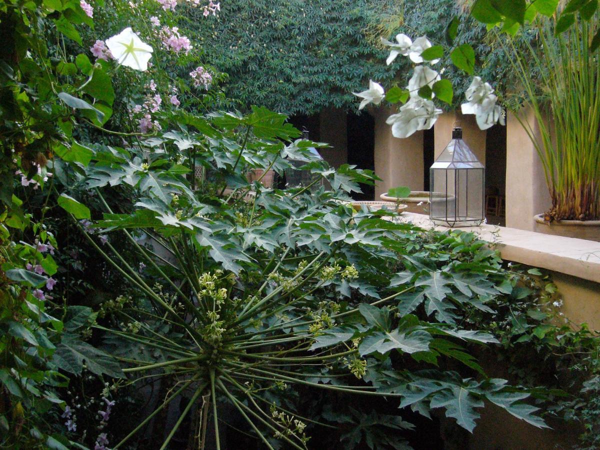 Dar Zahia Hotel Taroudant Luaran gambar