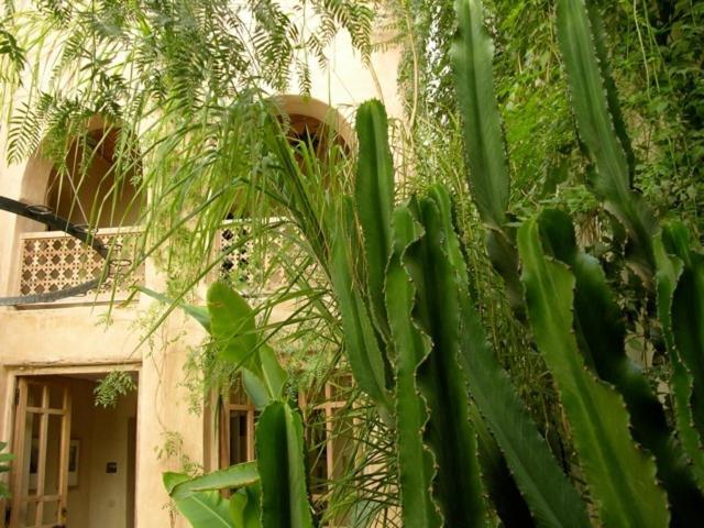 Dar Zahia Hotel Taroudant Luaran gambar
