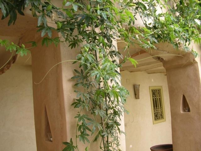 Dar Zahia Hotel Taroudant Luaran gambar