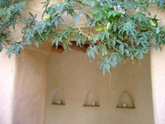 Dar Zahia Hotel Taroudant Luaran gambar