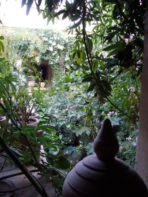 Dar Zahia Hotel Taroudant Luaran gambar